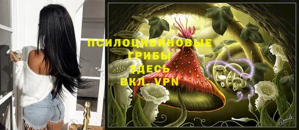 МДМА Белокуриха